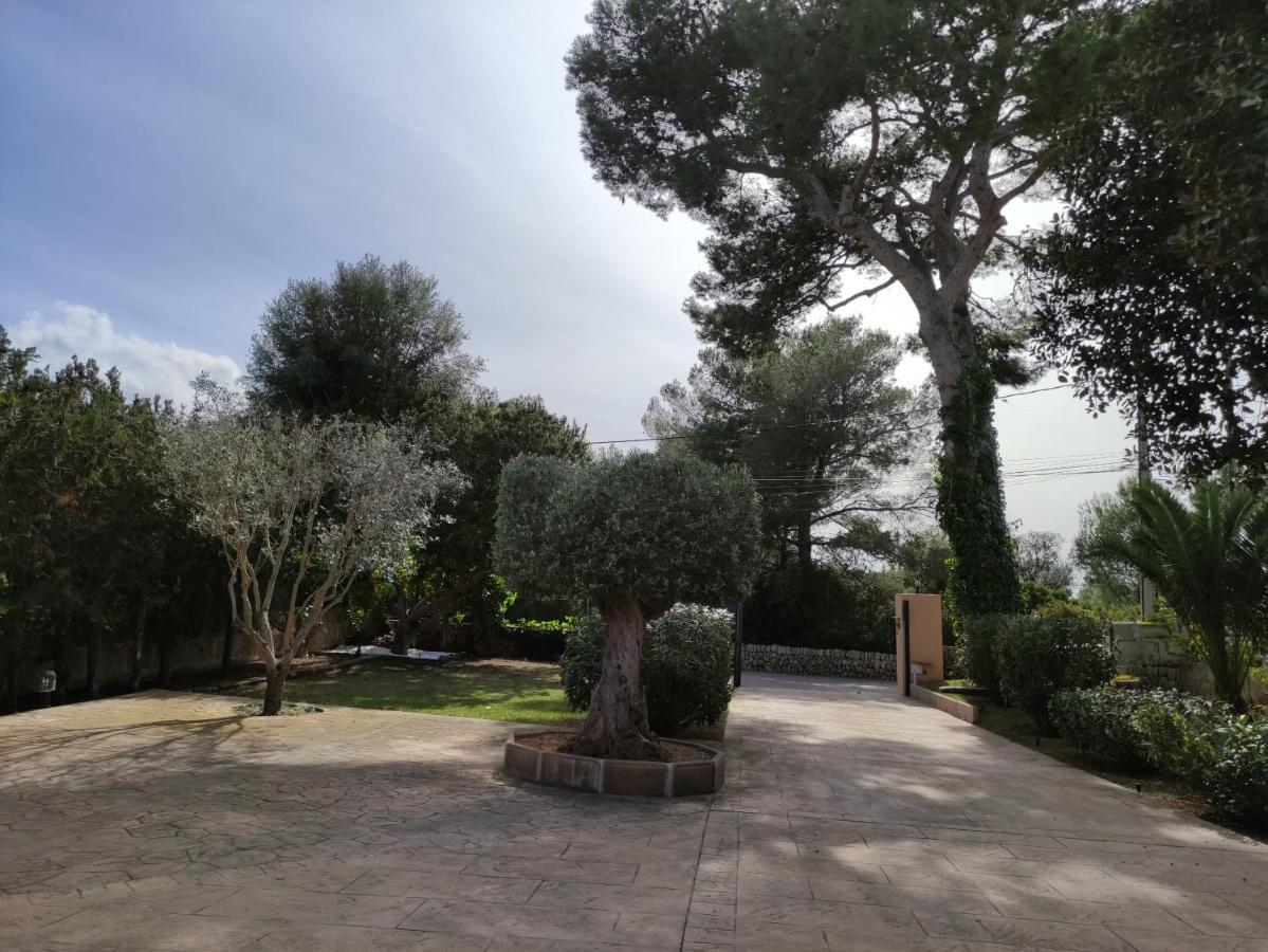Villa Mestral Alcúdia Buitenkant foto